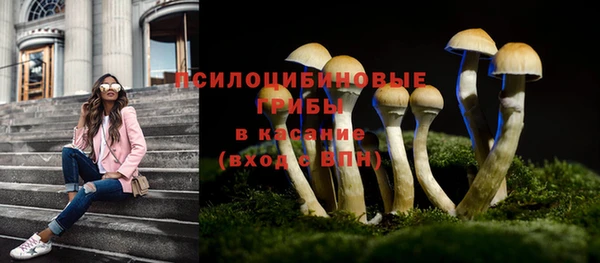 mdpv Арсеньев