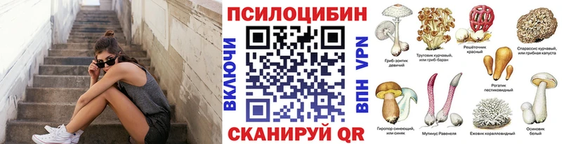Псилоцибиновые грибы GOLDEN TEACHER  Купить закладки  Сосновый Бор 